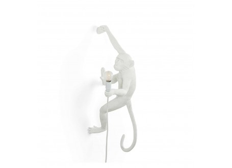 Lampe singe suspendu main droite