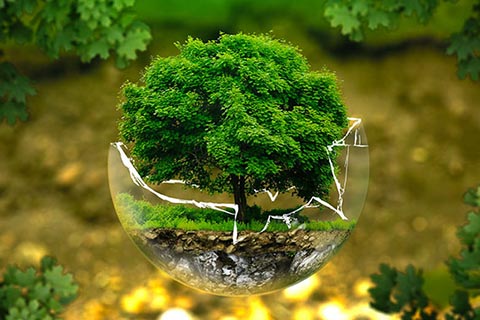 Eco responsible trend