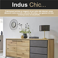 Collection indus chic Brooklyn